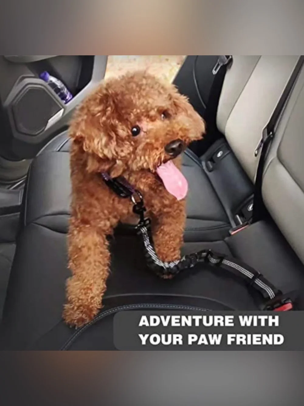 BIKAEIK Dog Safety Belt, Retractable Harness Color: RED